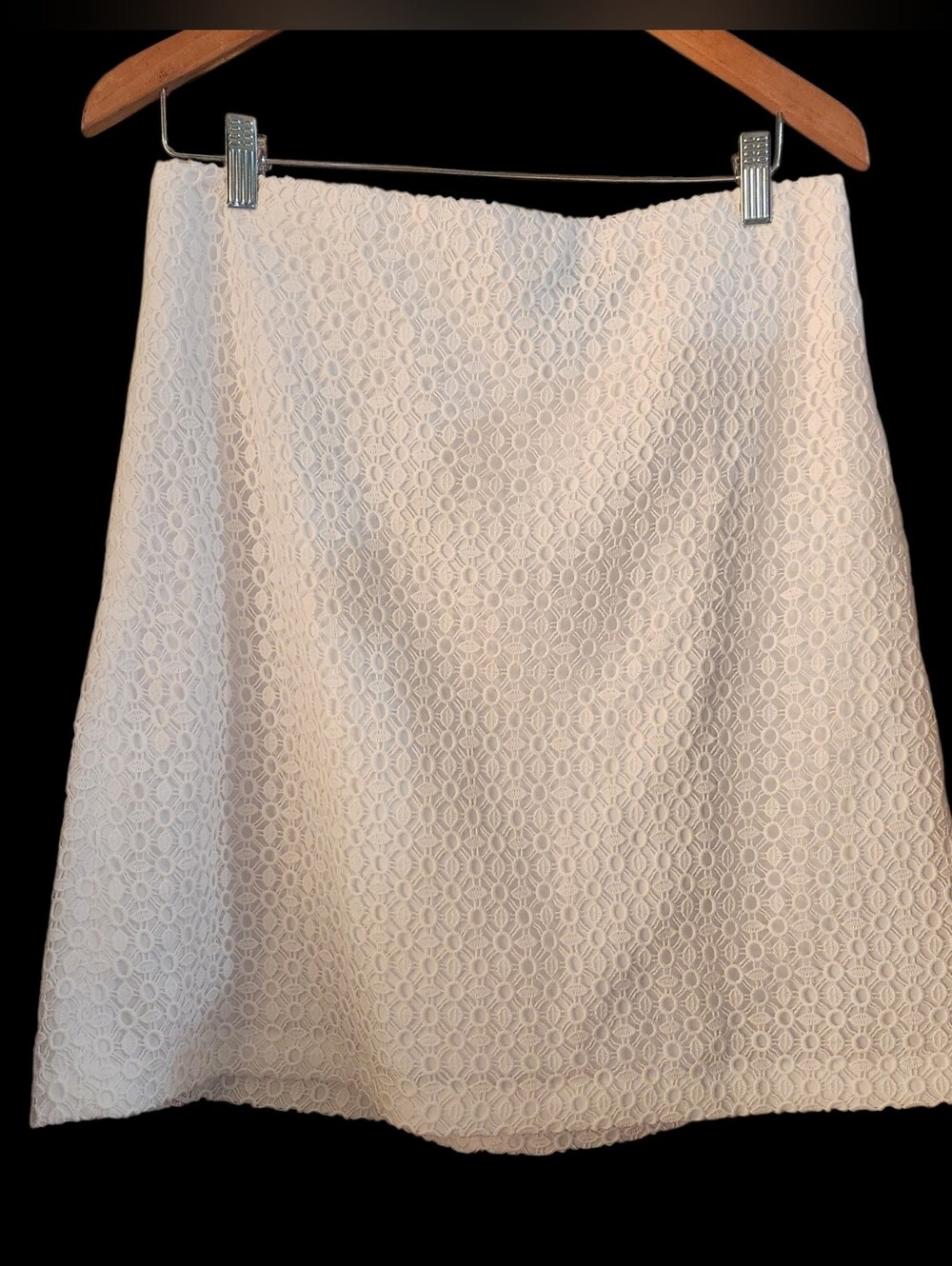 Ann Taylor White Eyelet A-Line Skirt Size 10